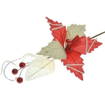 FLOR NATAL 306123254 LUNA
