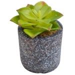 VASO C/PLANTA ARTIFICIAL 2438-100 VASO C/PLANTA ARTIFICIAL 2438-100