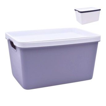 CESTO PLAST C/ASAS 2630-513-02 CX24