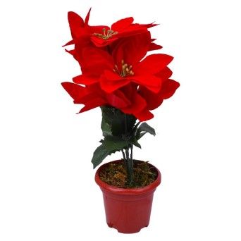 FLOR NATAL C/VASO1283-887 CX72