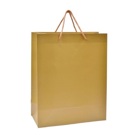 SACO PAPEL 18X23X10 DRD 2417-000-E01 CX360