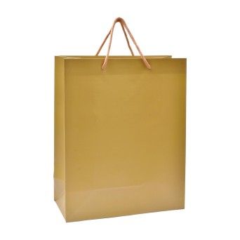 SACO PAPEL 18X23X10 DRD 2417-000-E01 CX360