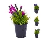 PLANTA C/ VASO 2647-004-02 CX144