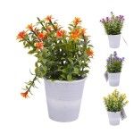 PLANTA C/ VASO 2647-005-01 CX144 PLANTA C/ VASO 2647-005-01 CX144