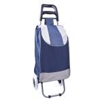 CARRO COMPRAS 2 RODAS SK 560-007-04