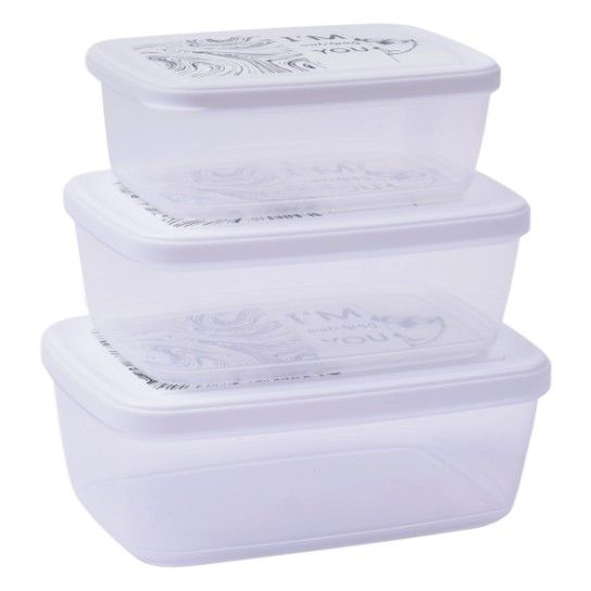 CONJ. 3 CAIXAS 500+850+1200ML AP-9259 CX12