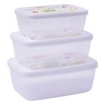 CONJ. 3 CAIXAS 500+850+1200ML AP-9259 CX12