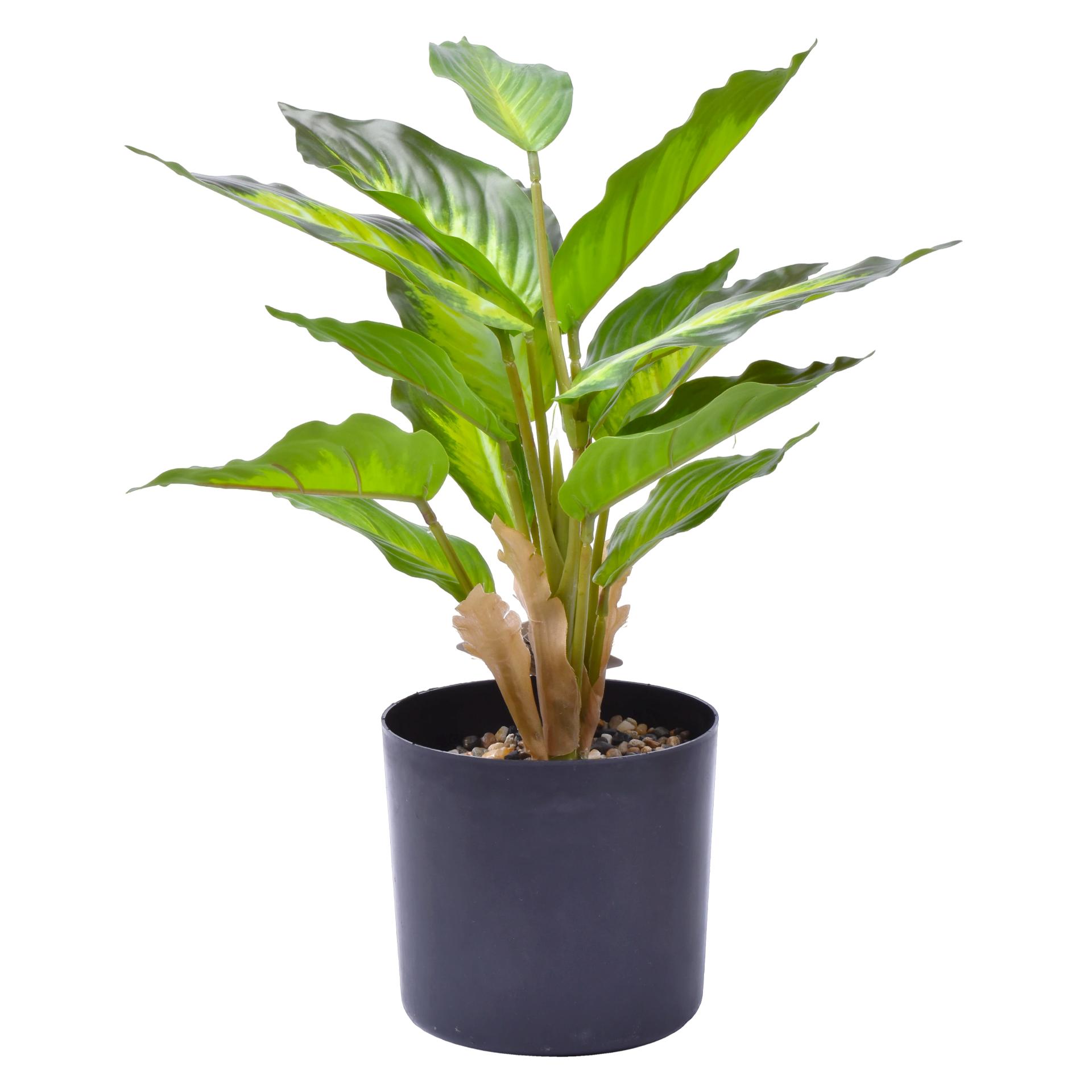 VASO PLAST C/ PLANTA 38X12,5 2438-200 VASO PLAST C/ PLANTA 38X12,5 2438-200