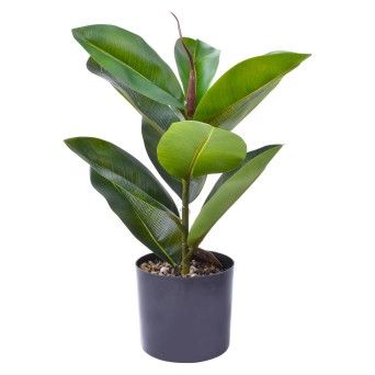 VASO PLAST C/ PLANTA 40X12,5 2438-201