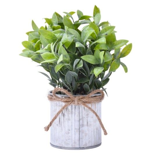 VASO METAL C/ PLANTA 20X8X 2438-110 CX48 VASO METAL C/ PLANTA 20X8X 2438-110 CX48