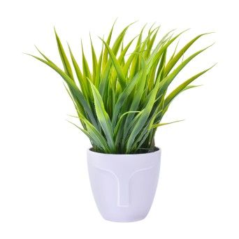 VASO PLAST C/ PLANTA 24X9,5 2438-111 CX48