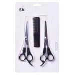 SET 2 TESOURAS +PENTE 2816-103 CX120