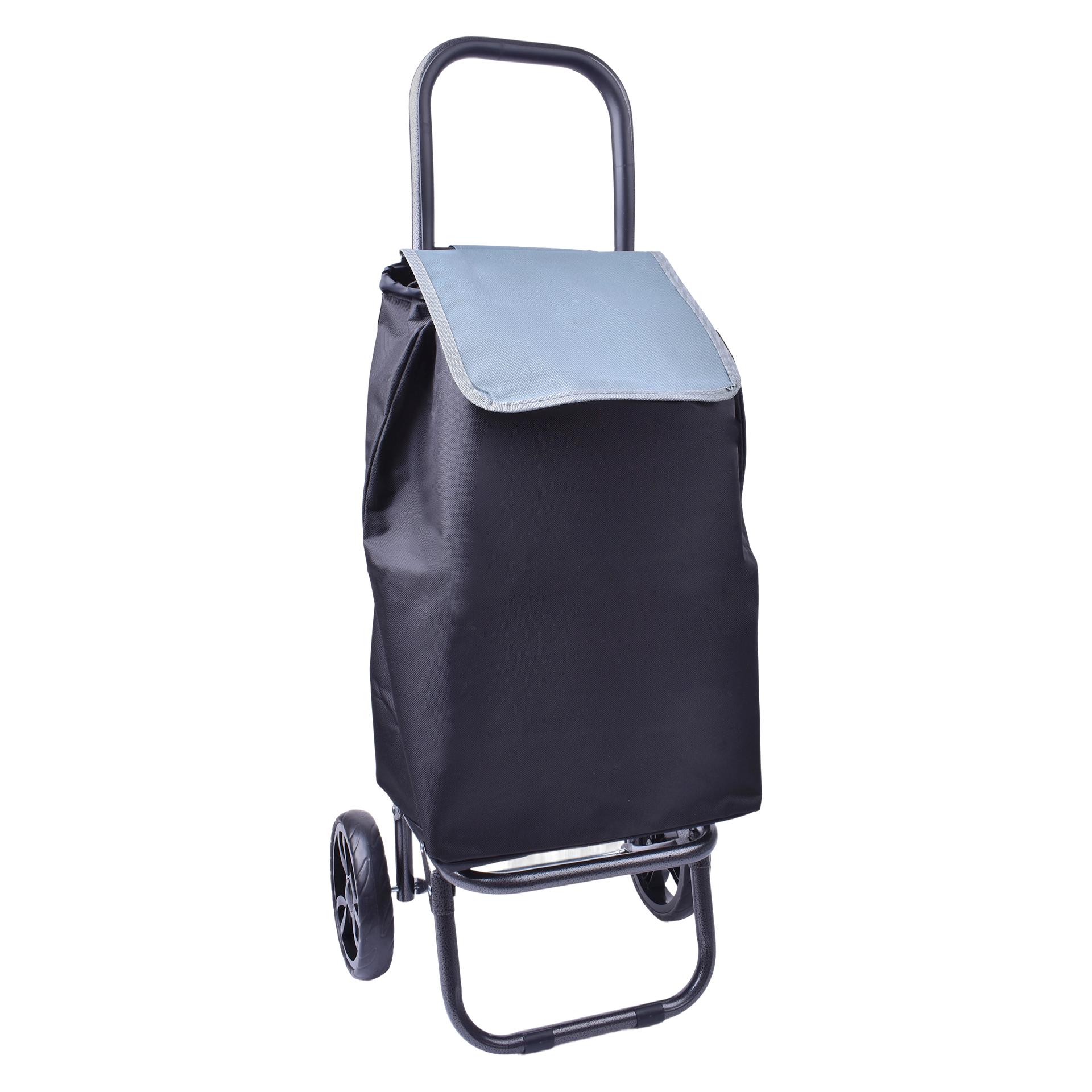 CARRO COMPRAS 2RODAS 93X38 560-008-02