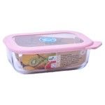 FIAMBREIRA RETANGULAR 0.3L 6UN REF.56820