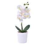 VASO C/PLANTA ART SKPA-837-503 CX24