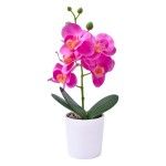 VASO C/PLANTA ART SKPA-837-503 CX24