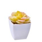 VASO C/ CACTO 207-116-01 CX144