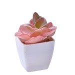 VASO C/ CACTO 207-116-01 CX144