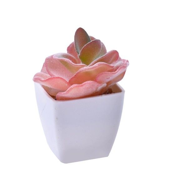 VASO C/ CACTO 207-116-01 CX144