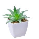 VASO C/ CACTO 207-116-01 CX144