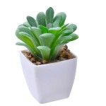 VASO C/ CACTO 207-116-01 CX144