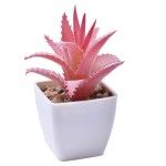 VASO C/ CACTO 207-116-01 CX144