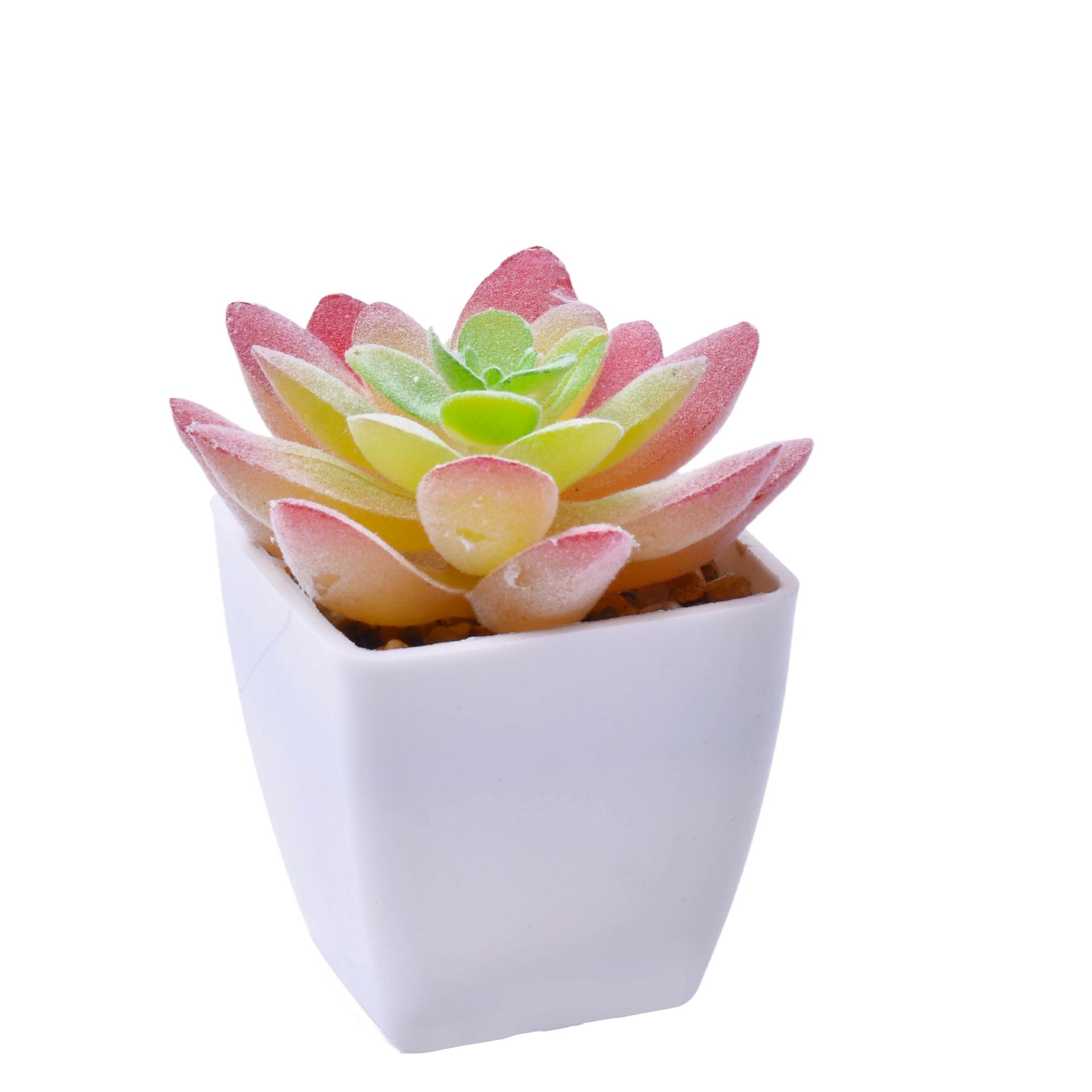 VASO C/ CACTO 207-116-01 CX144