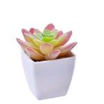 VASO C/ CACTO 207-116-01 CX144