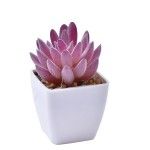 VASO C/ CACTO 207-116-01 CX144