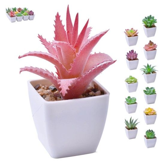 VASO C/ CACTO 207-116-01 CX144
