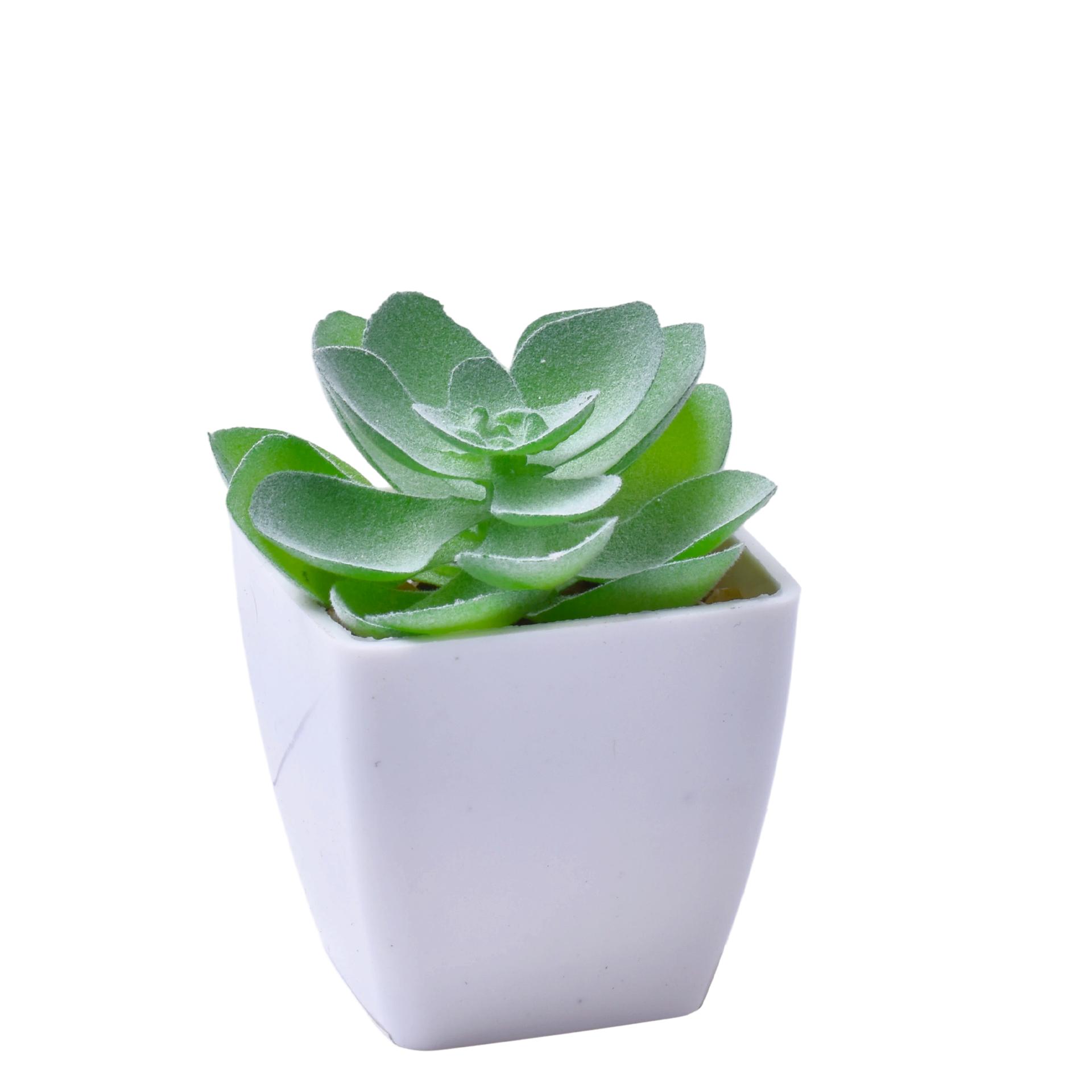 VASO C/ CACTO 207-116-01 CX144