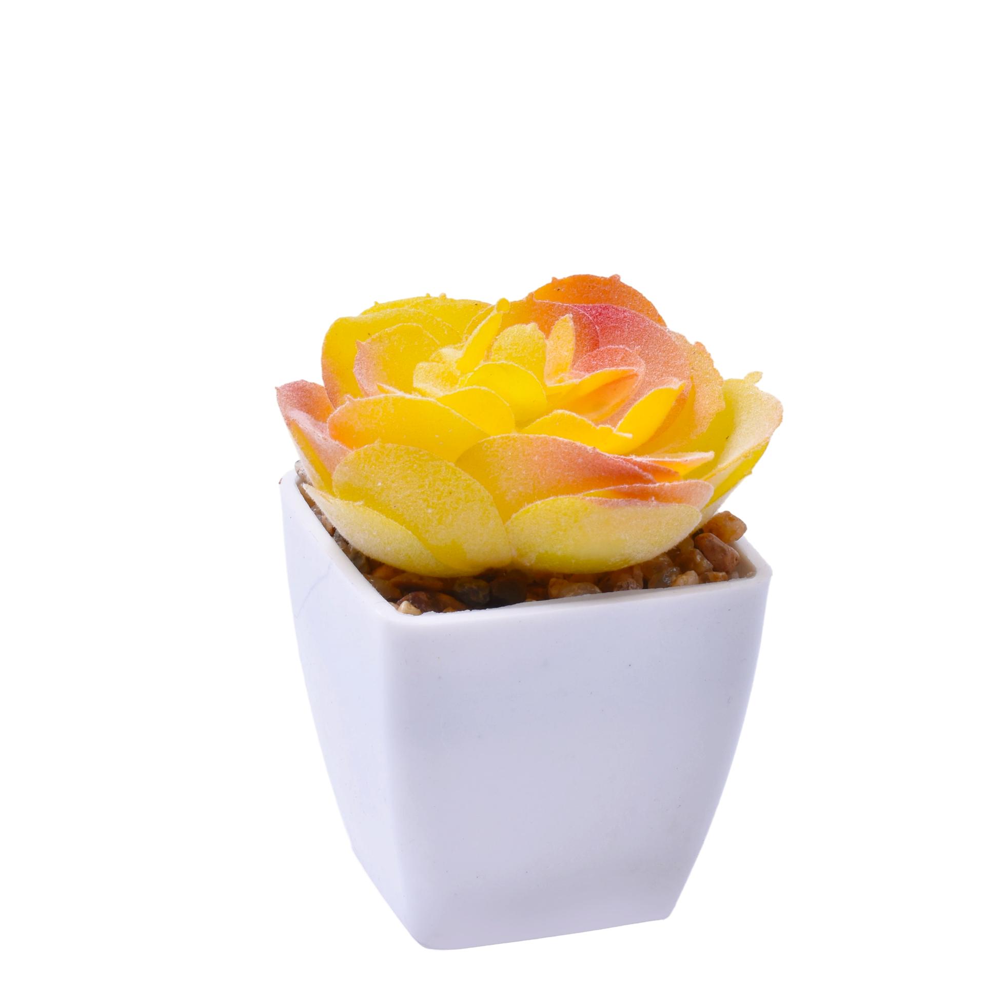 VASO C/ CACTO 207-116 CX144 VASO C/ CACTO 207-116 CX144
