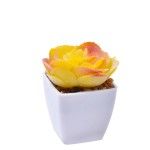 VASO C/ CACTO 207-116 CX144