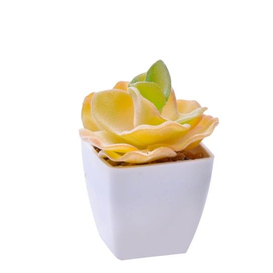 VASO C/ CACTO 207-116 CX144 VASO C/ CACTO 207-116 CX144
