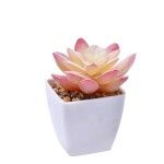 VASO C/ CACTO 207-116 CX144