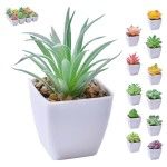 VASO C/ CACTO 207-116 CX144