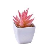 VASO C/ CACTO 207-116 CX144