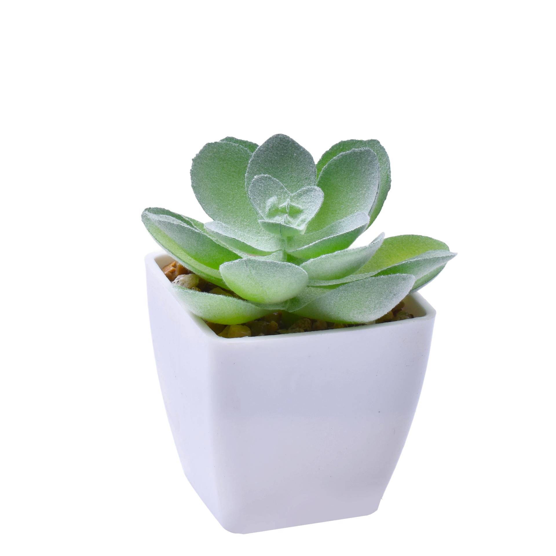 VASO C/ CACTO 207-116 CX144 VASO C/ CACTO 207-116 CX144