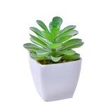 VASO C/ CACTO 207-116 CX144
