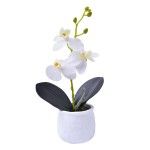 VASO CIMENTO C/ PLANTA 207-119 CX72
