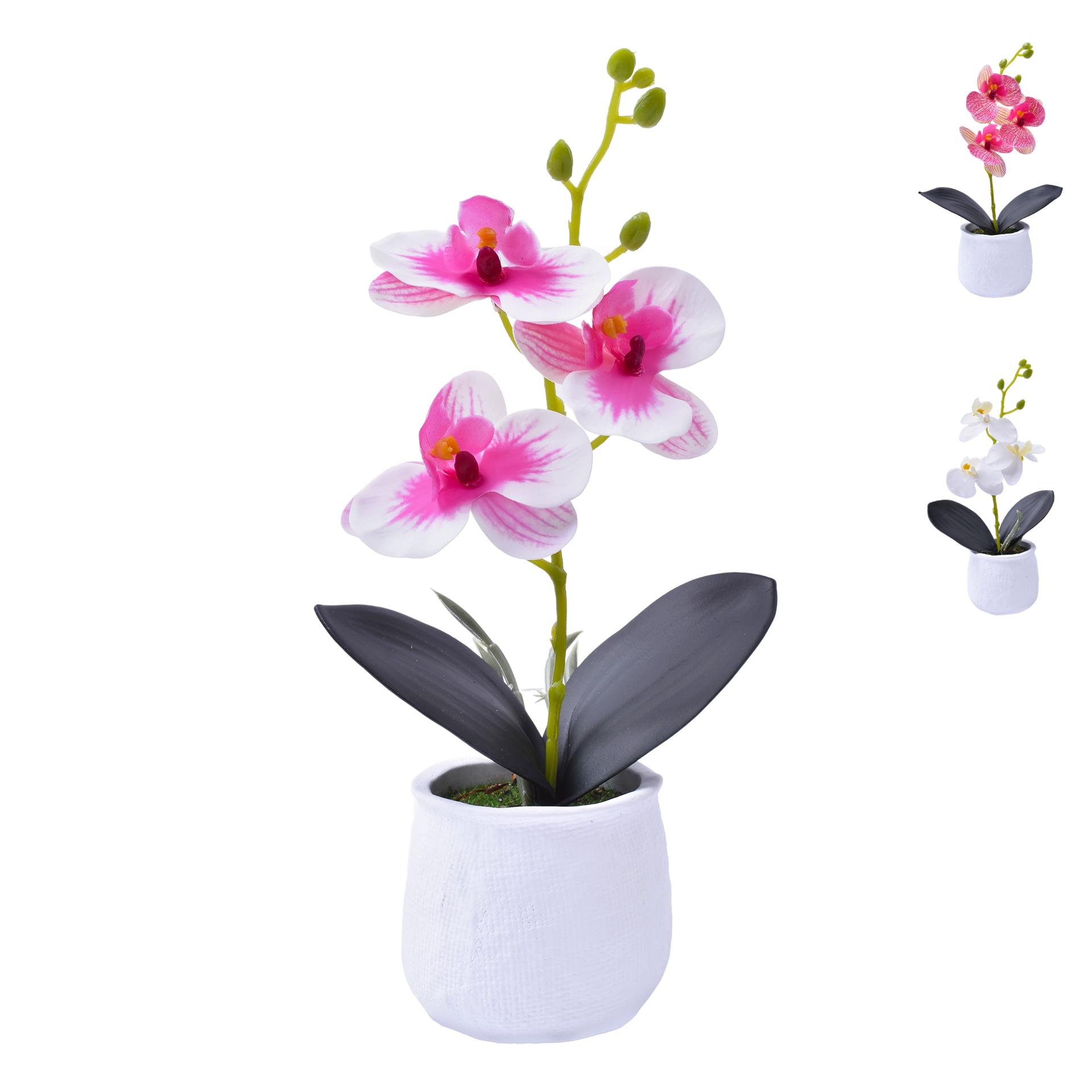VASO CIMENTO C/ PLANTA 207-119 CX72 VASO CIMENTO C/ PLANTA 207-119 CX72