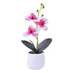 VASO CIMENTO C/ PLANTA 207-119 CX72