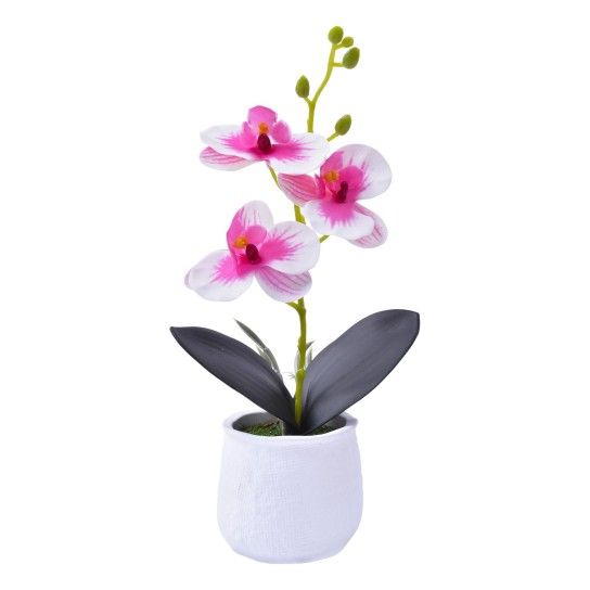 VASO CIMENTO C/ PLANTA 207-119 CX72 VASO CIMENTO C/ PLANTA 207-119 CX72
