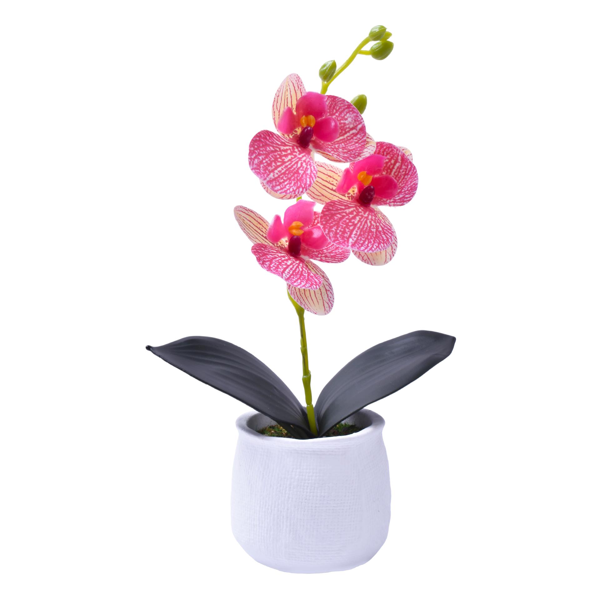 VASO CIMENTO C/ PLANTA 207-119 CX72 VASO CIMENTO C/ PLANTA 207-119 CX72
