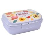 LANCHEIRA 1000ML AP-9079 CX24 LANCHEIRA 1000ML AP-9079 CX24