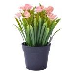 VASO PLASTICO C/ PLANTA 207-120 CX72