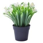 VASO PLASTICO C/ PLANTA 207-120 CX72