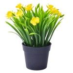 VASO PLASTICO C/ PLANTA 207-120 CX72