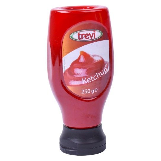 KETCHUP TREVI 250GR