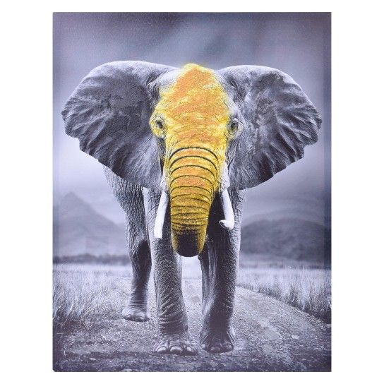 QUADRO TELA DEC 80X120 2718-020D-01CX6